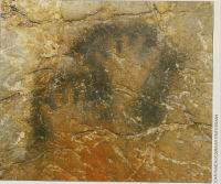 Dessine moi un mammouth, Sciences & Avenir 781, mars 2012 (4a)